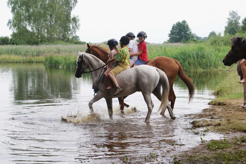Letnie półkolonie jeździeckie w Stajni Grot dla mieszkańców Wasilkowa